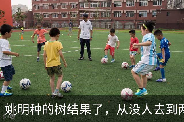 姚明种的树结果了，从没人去到两位数留洋，年轻人治好男篮老毛病